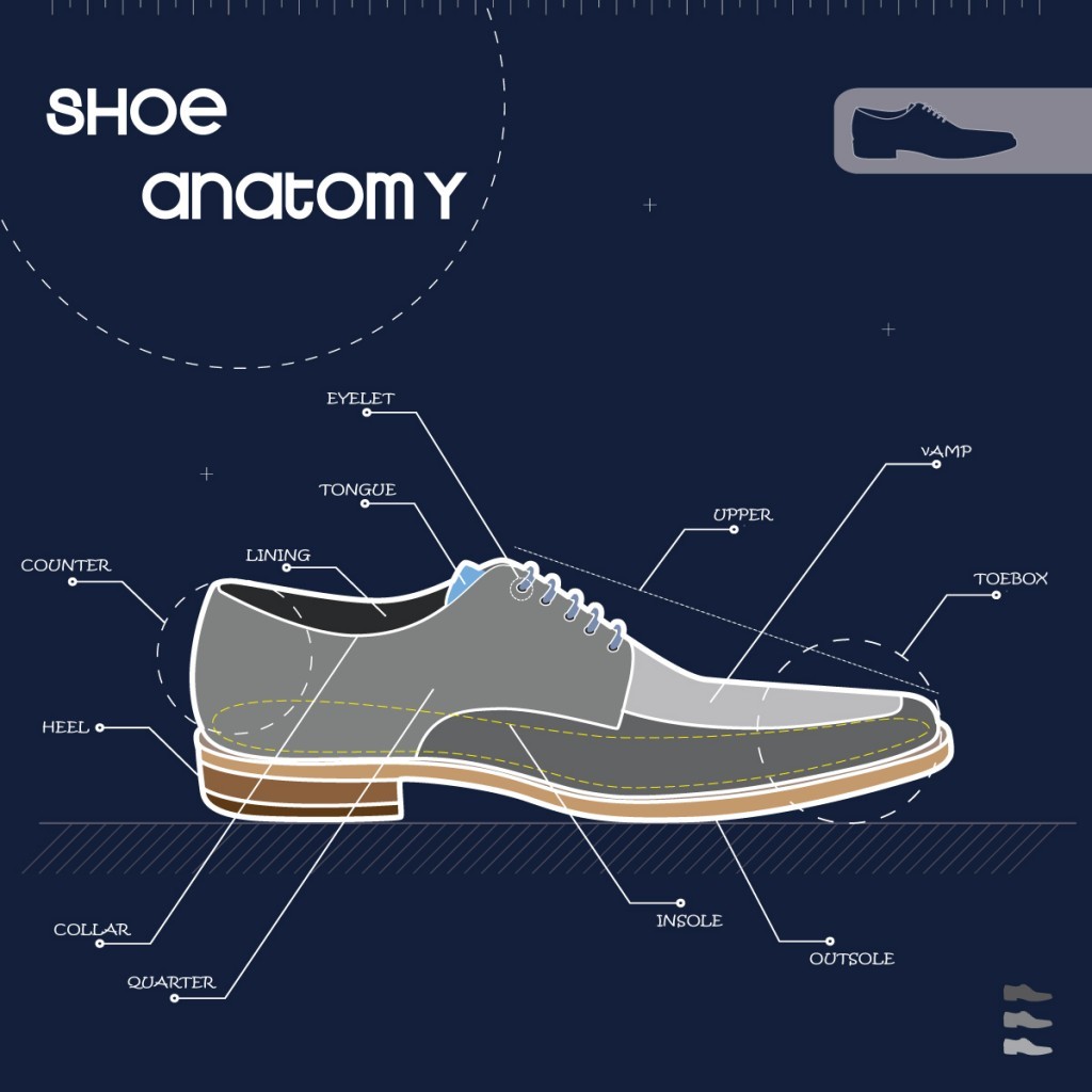 Anatomy-of-A-Shoe