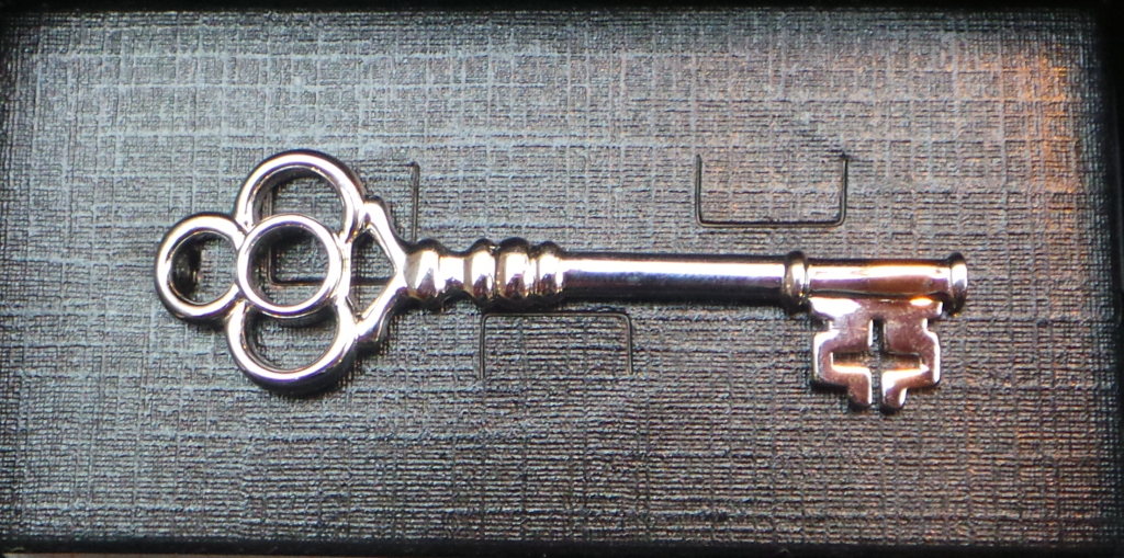 Hook-and-albert-lapel-Tie-Pin-1
