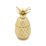 <a href="http://shop.gotstyle.ca/wandp-design-pineapple-tumbler-two-piece/dp/63410">W&P Design Pineapple Tumbler  $45</a>