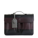 <a href="http://shop.gotstyle.ca/ted-baker-stripe-panel-leather-satchel-bag/dp/59056">Ted Baker Stripe Panel Leather Satchel bag $379</a>